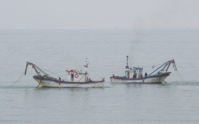 The importance of empathy in Intercultural Education